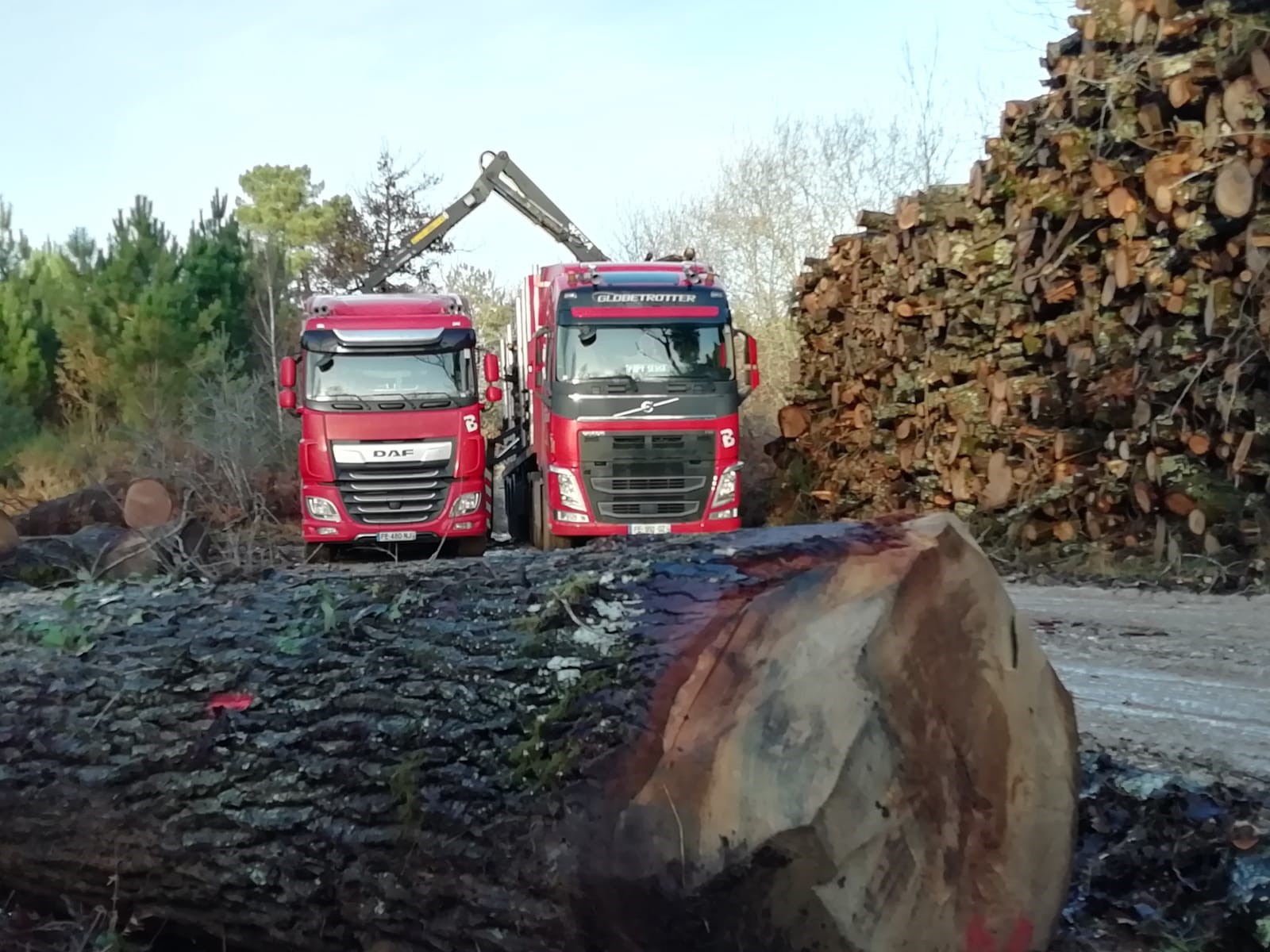 transport de bois transport de bois